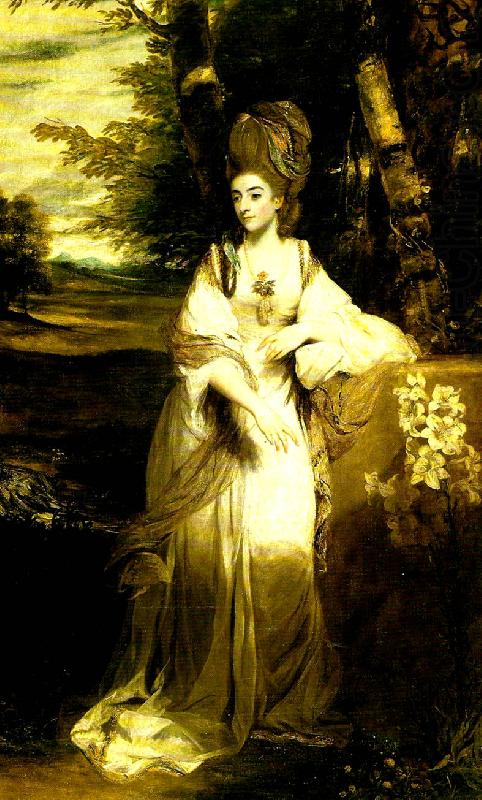 Sir Joshua Reynolds lady bampfylde china oil painting image
